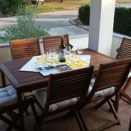 Delfin Apartamento Novigrad Istria Exterior foto