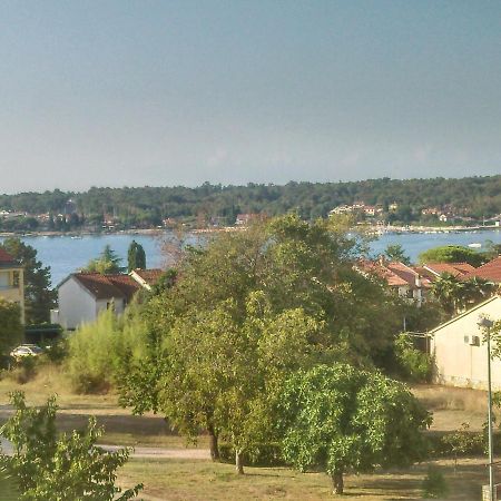 Delfin Apartamento Novigrad Istria Exterior foto