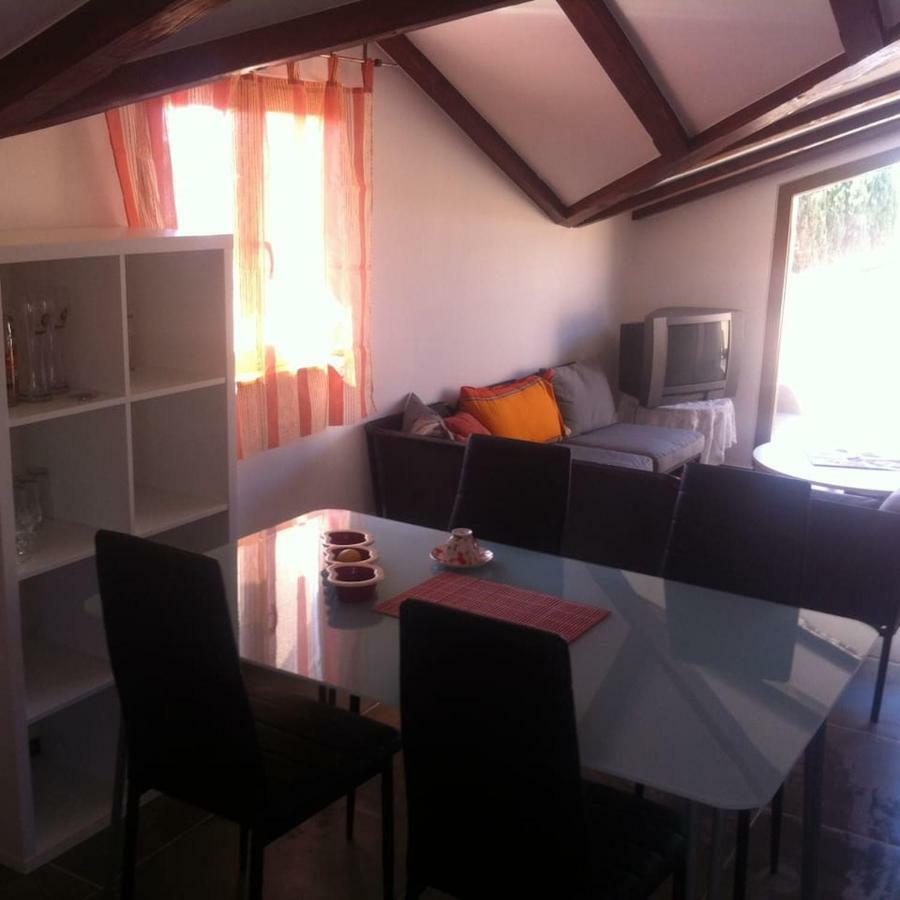 Delfin Apartamento Novigrad Istria Exterior foto