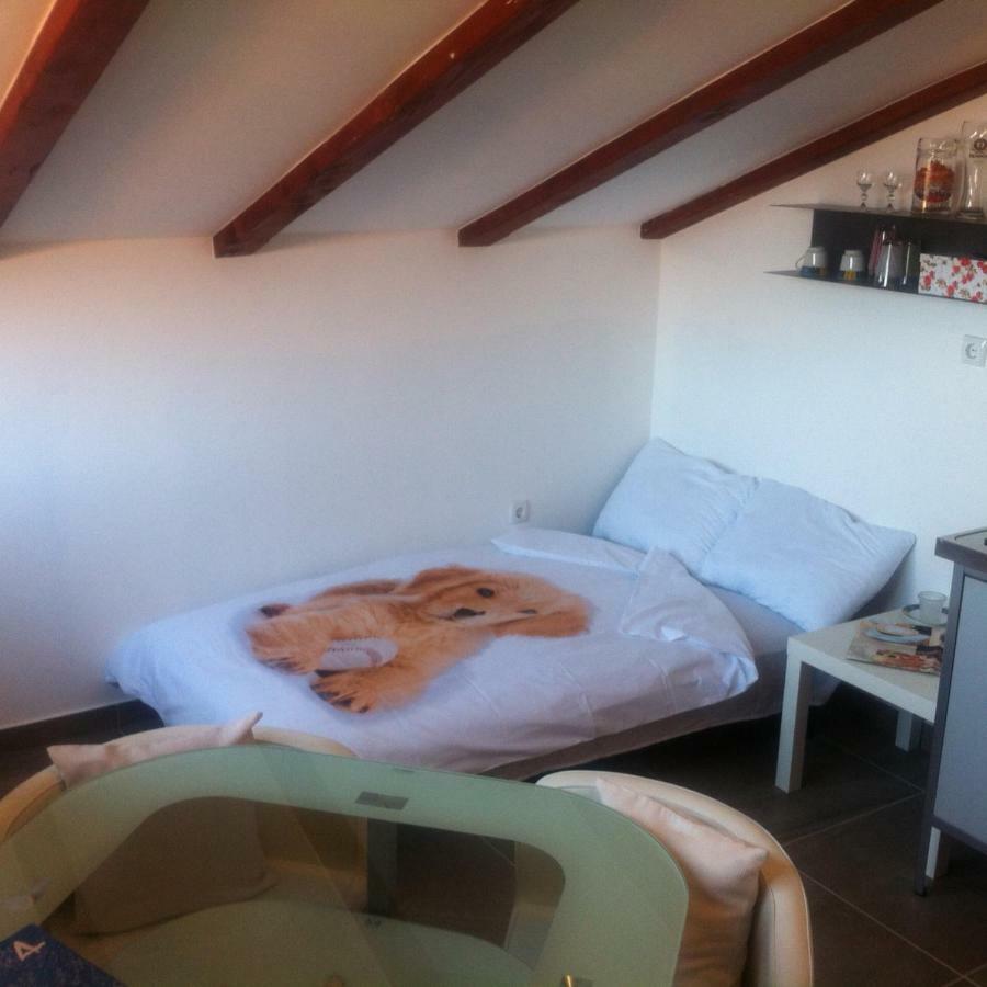 Delfin Apartamento Novigrad Istria Exterior foto