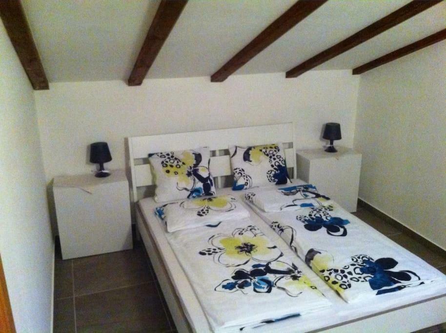 Delfin Apartamento Novigrad Istria Exterior foto