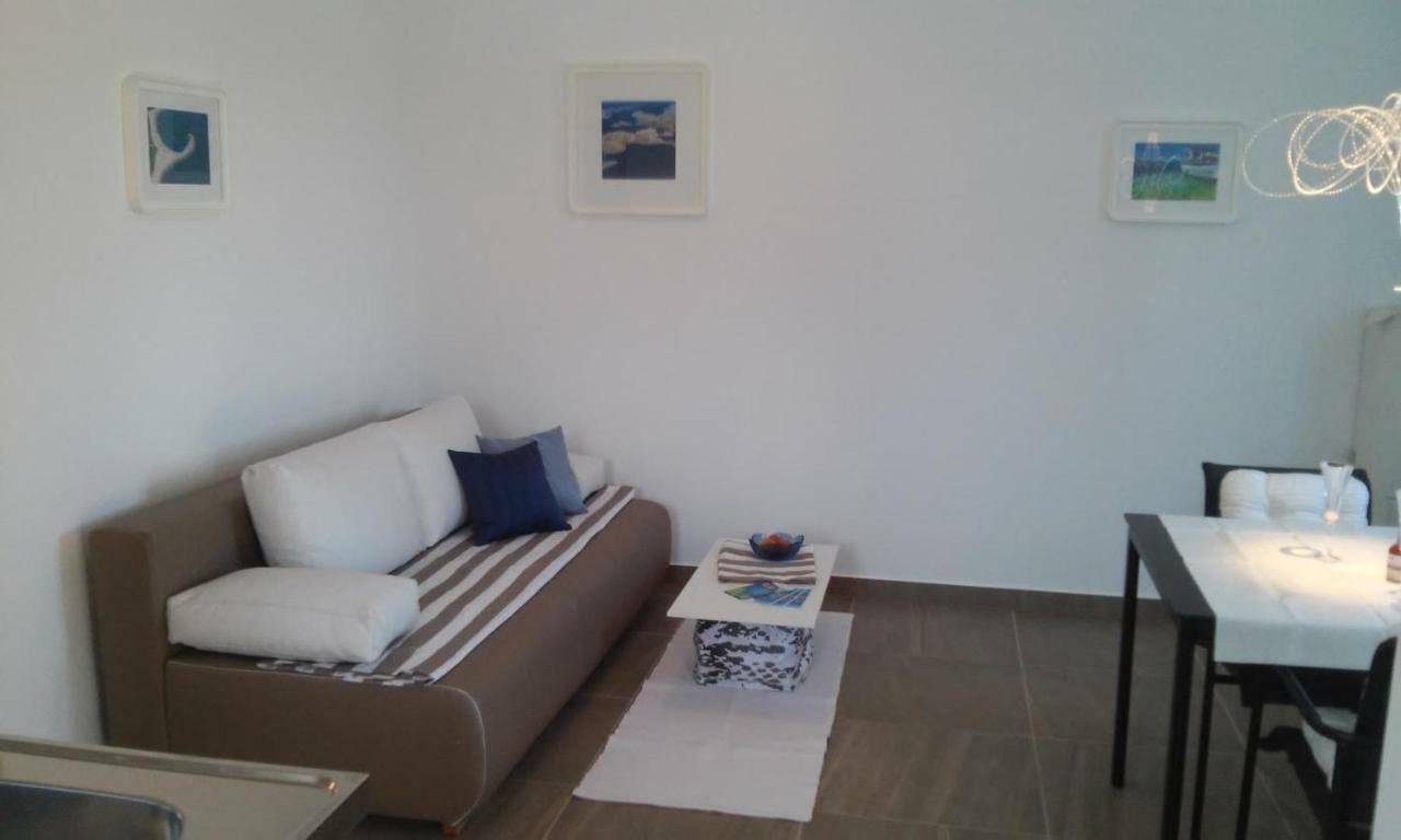 Delfin Apartamento Novigrad Istria Exterior foto