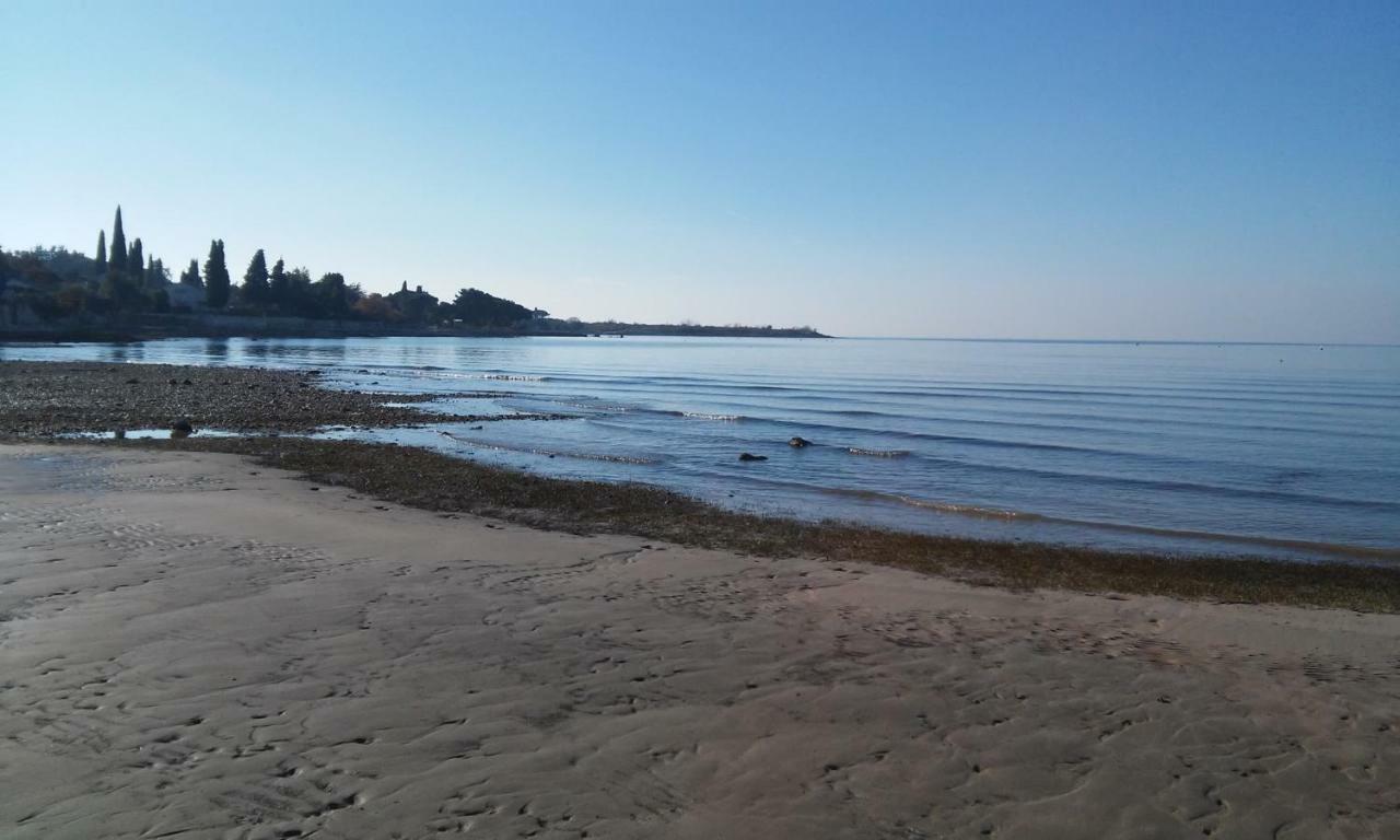 Delfin Apartamento Novigrad Istria Exterior foto