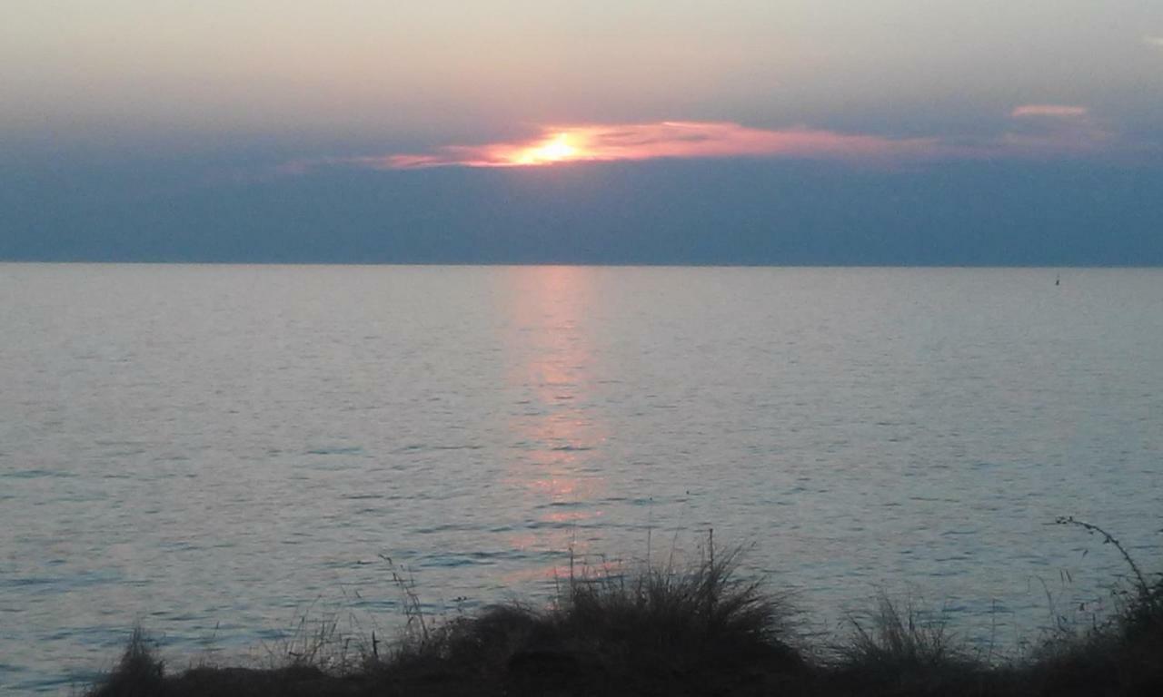 Delfin Apartamento Novigrad Istria Exterior foto